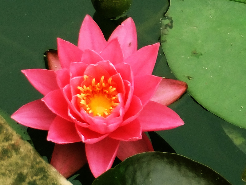 2012513˯ 037_.jpg