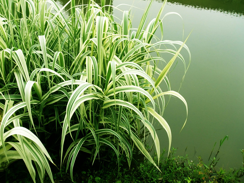 2012513˯ 045_.jpg
