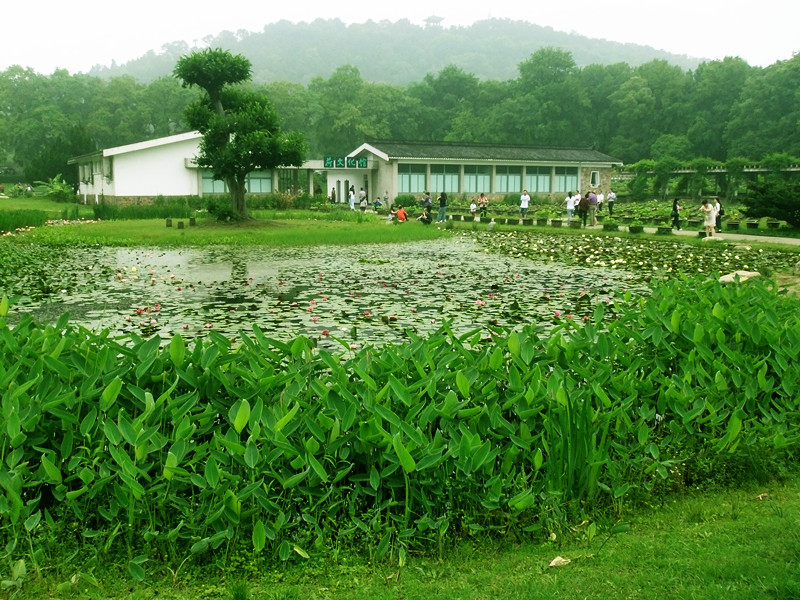 2012513˯ 051_.jpg