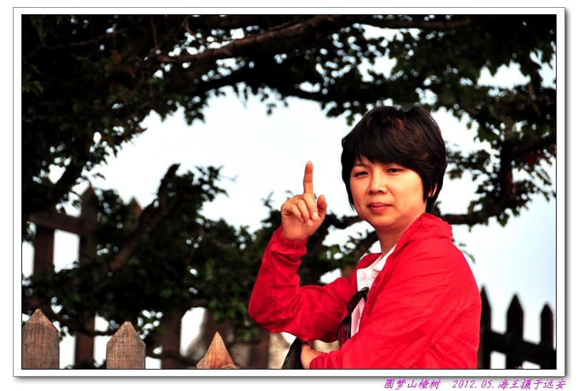 neo_img_dsc_0339.jpg
