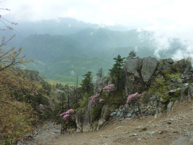 p1060907_conew1.jpg