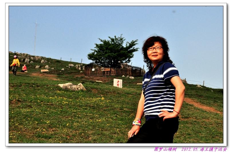 neo_img_dsc_0350.jpg
