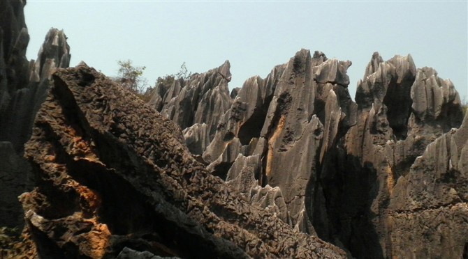 psbcafth6p1.jpg