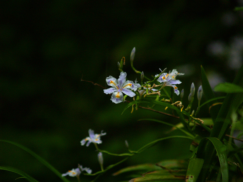 p5116575_.jpg