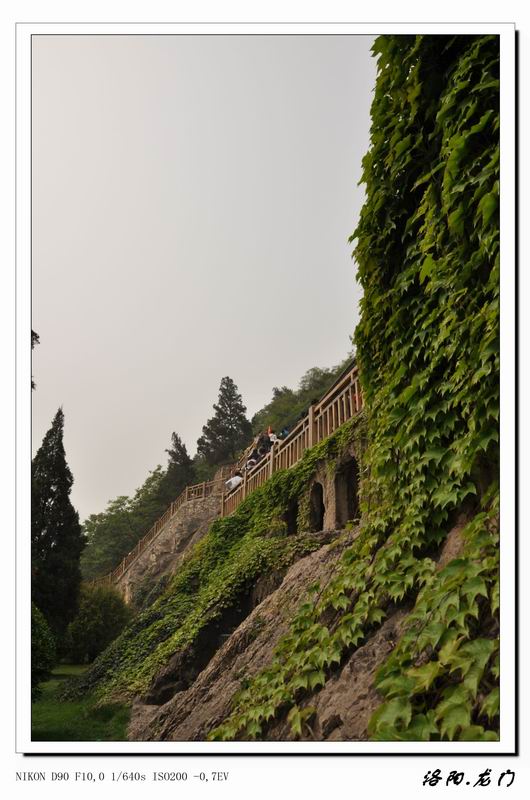 ŷ羰 (6).jpg