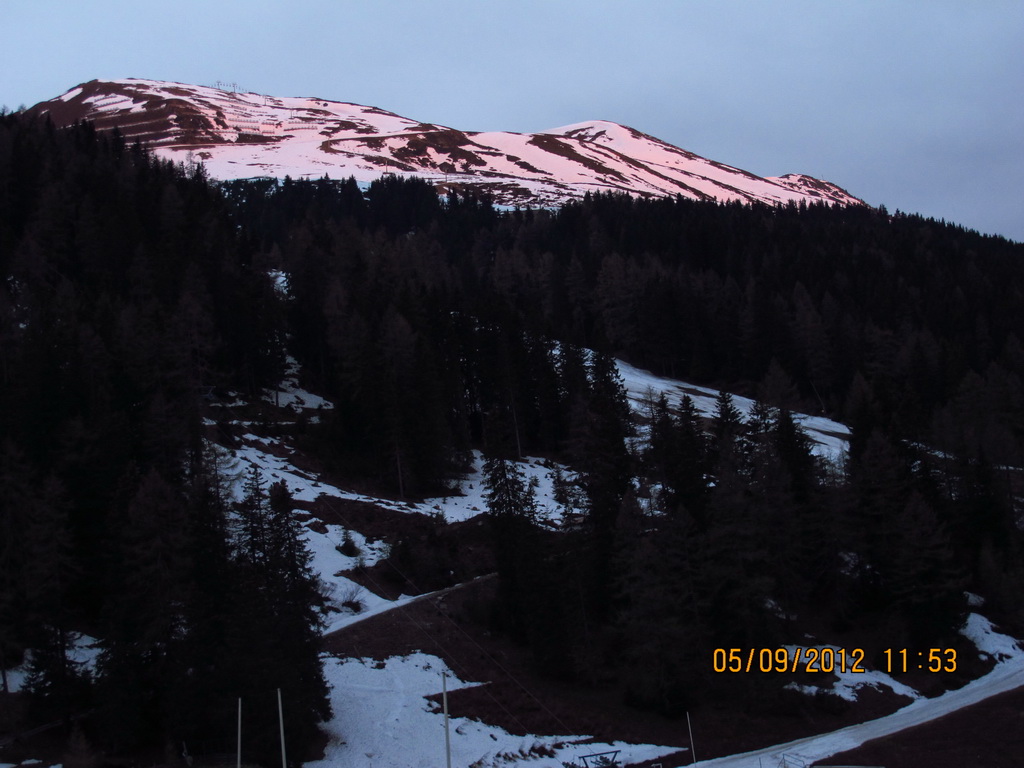 img_0353_8.jpg