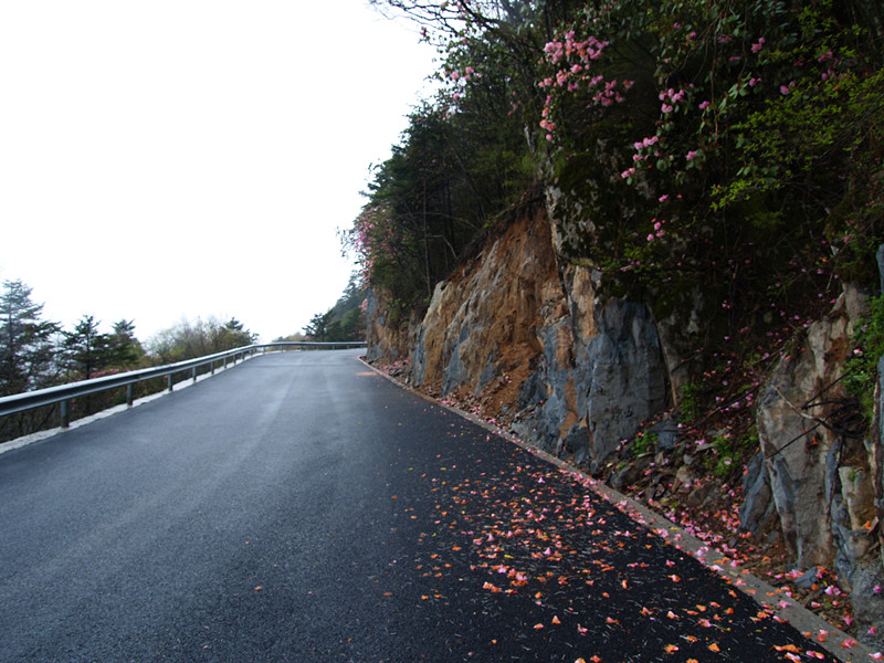 p5126641_.jpg