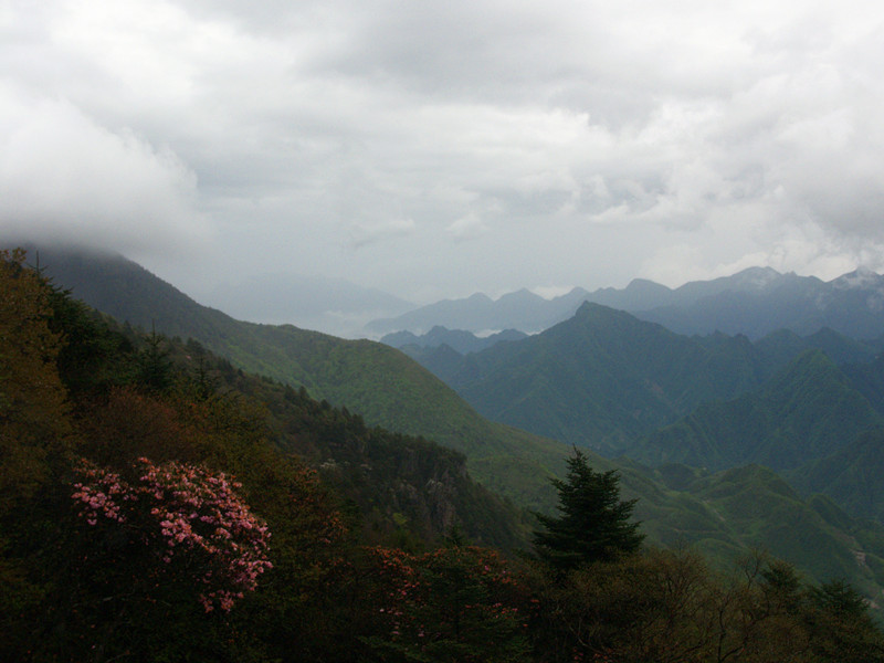 p5126670_.jpg