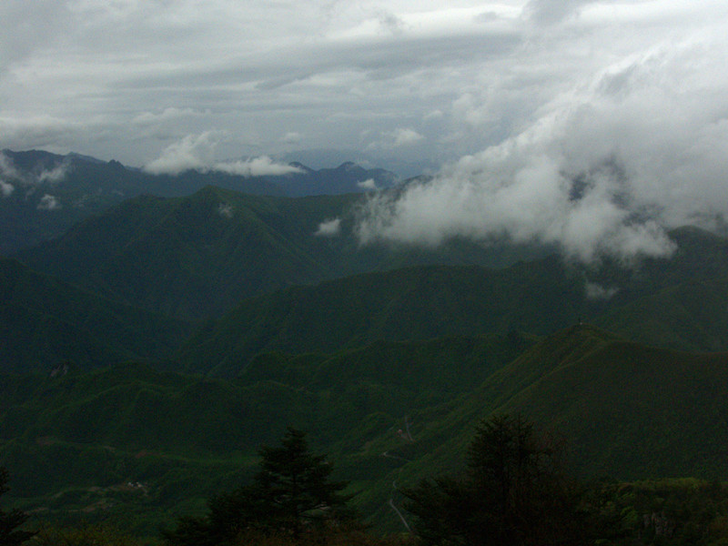 p5126671_.jpg