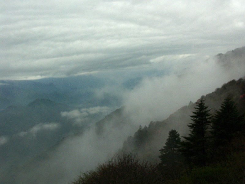 p5136988_.jpg