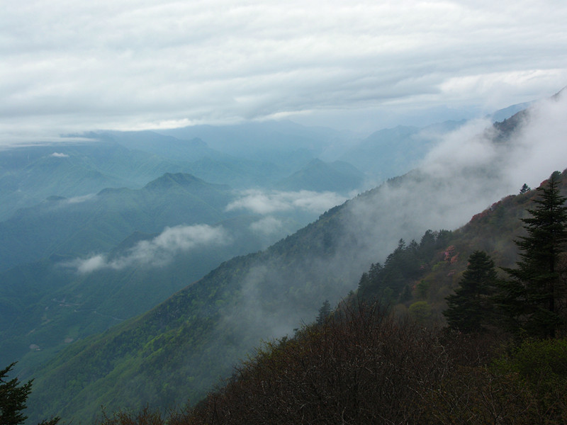 p5136991_.jpg