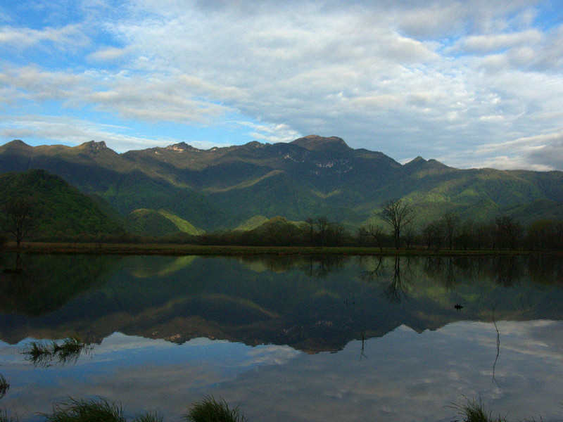 p5136879_.jpg