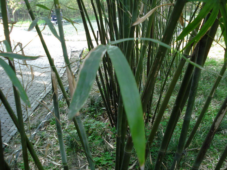 dsc08609.jpg