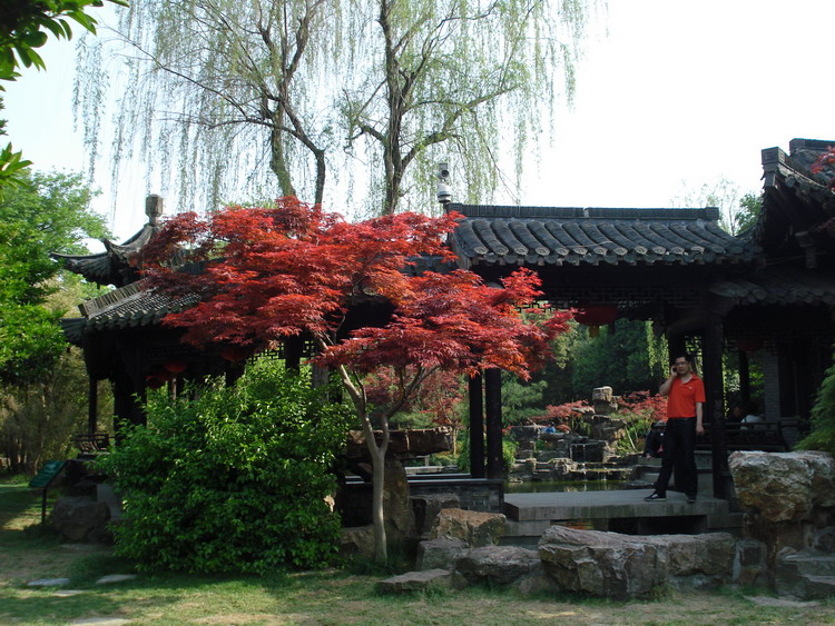 dsc08608.jpg