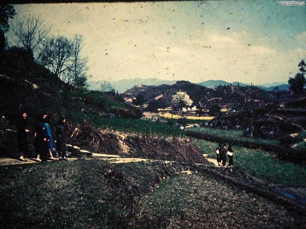 20090508142933501.jpg