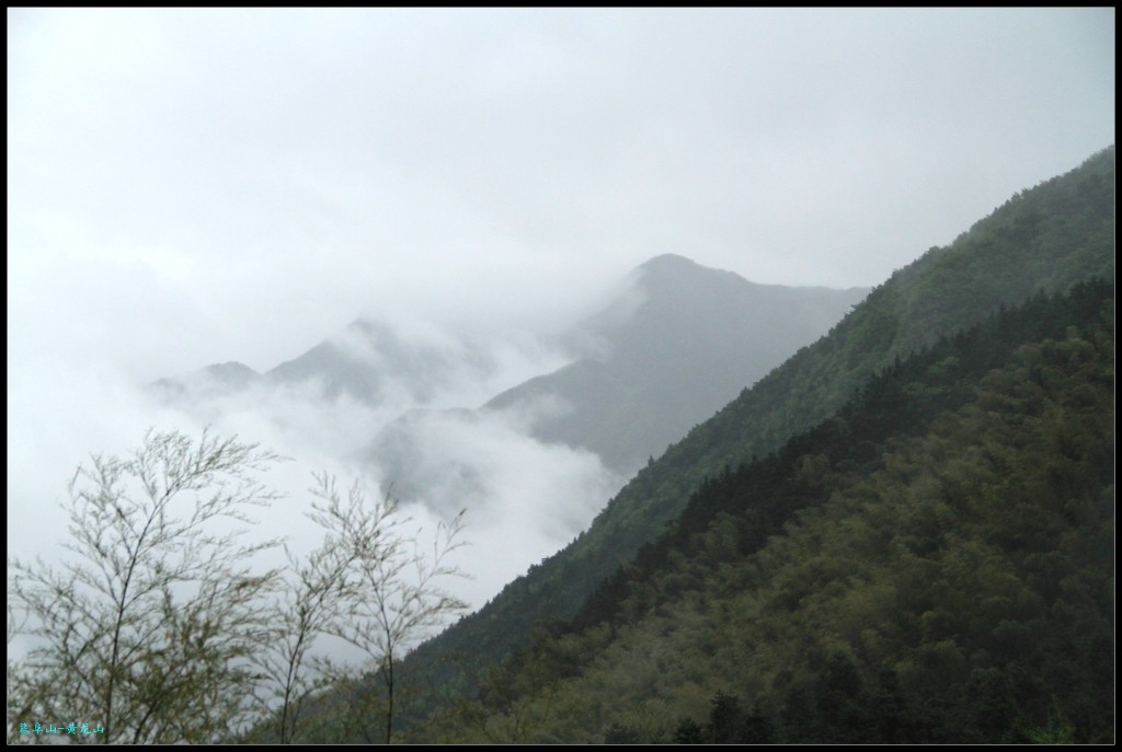 conew_img_5639.jpg