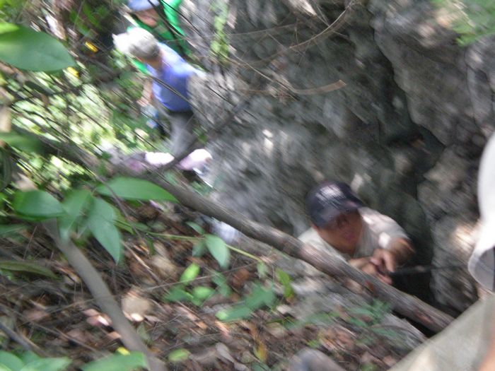 p5200007.jpg