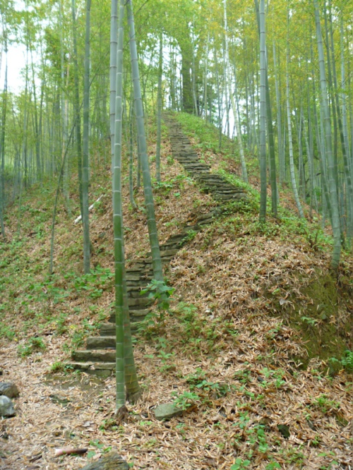 p1010528.jpg