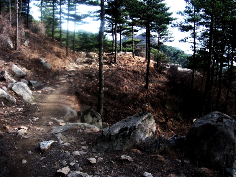 dscf0334.jpg
