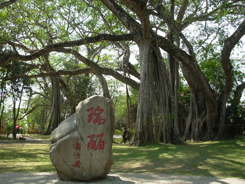 dscn1092.jpg