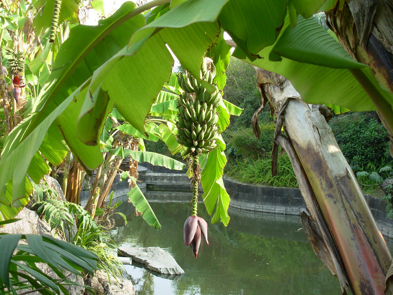 dscn0937.jpg