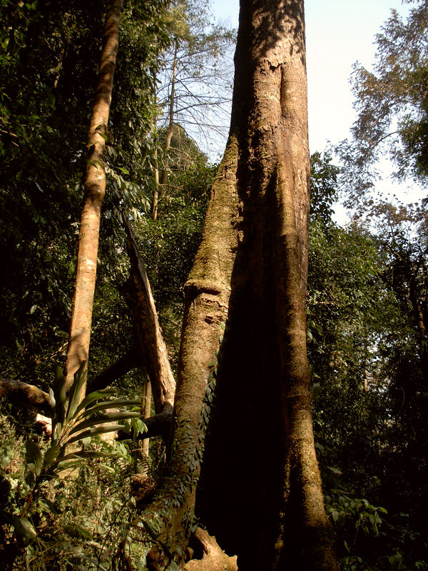 dscn1139.jpg