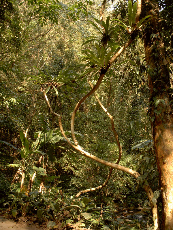 dscn1145.jpg