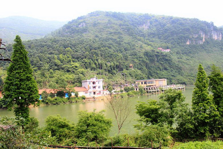 neo_img_img_0159.jpg