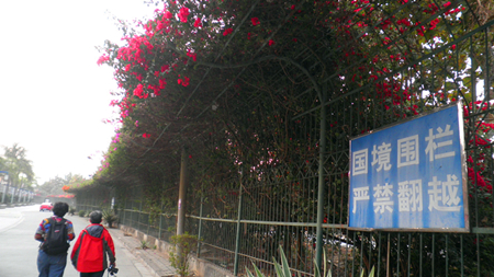 p3181470.jpg