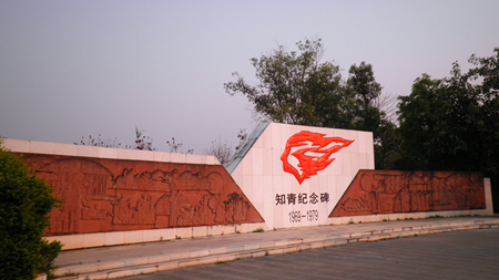 p3191597.jpg