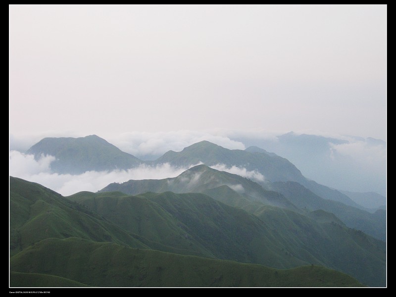 img007.jpg