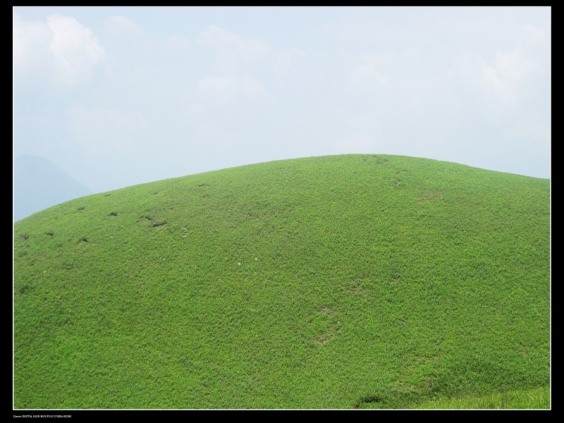 img017.jpg