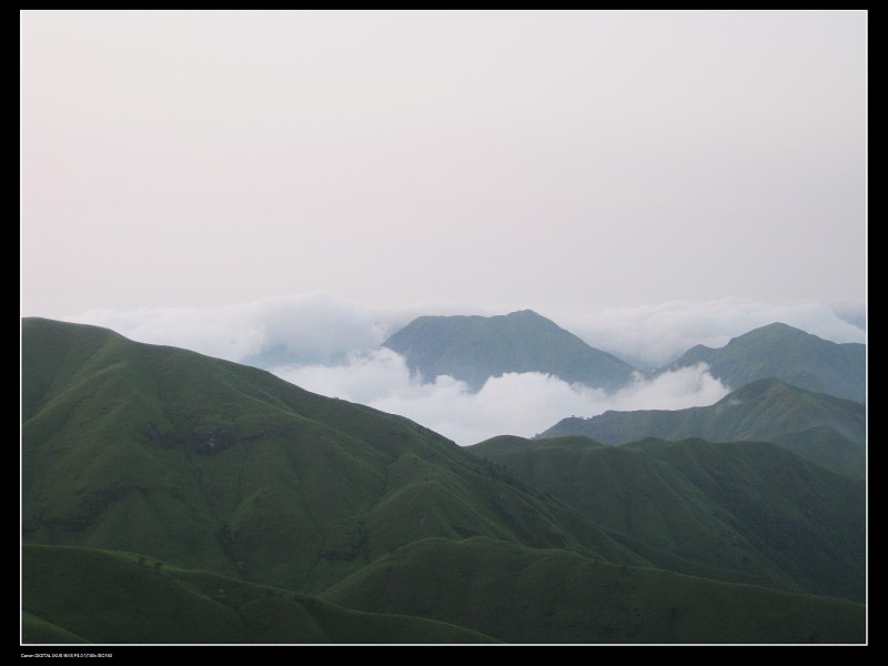 img009.jpg