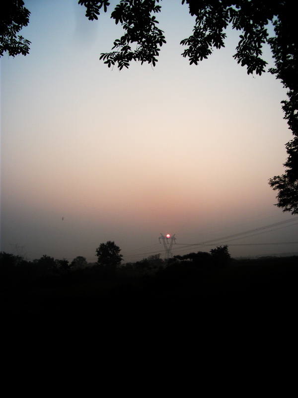 dscf0113.jpg