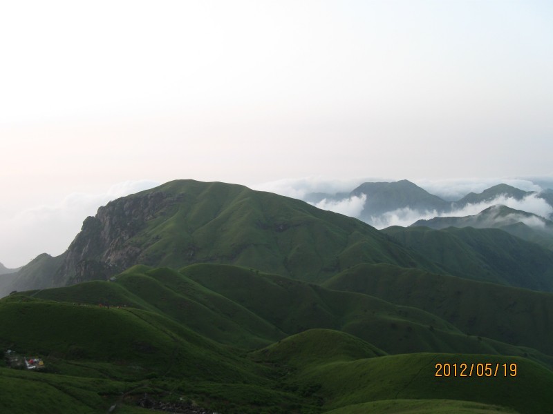 conew_img_4985.jpg
