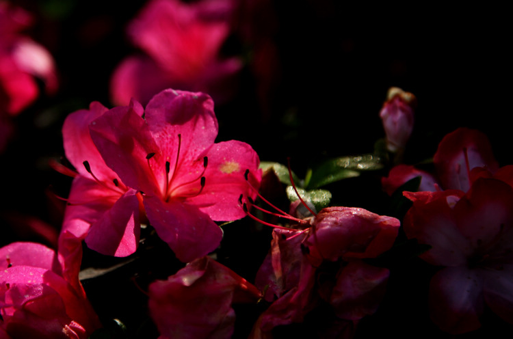 img_6921.jpg
