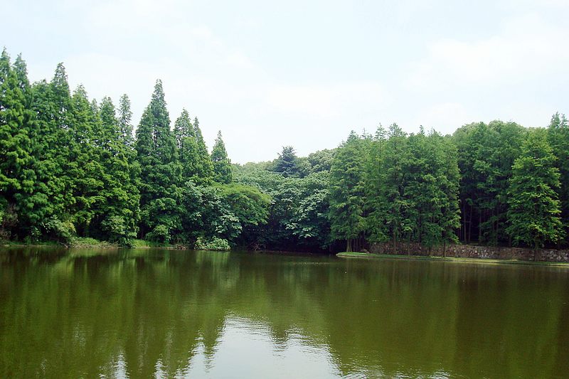 dsc00266.jpg