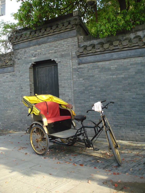 dsc08630.jpg