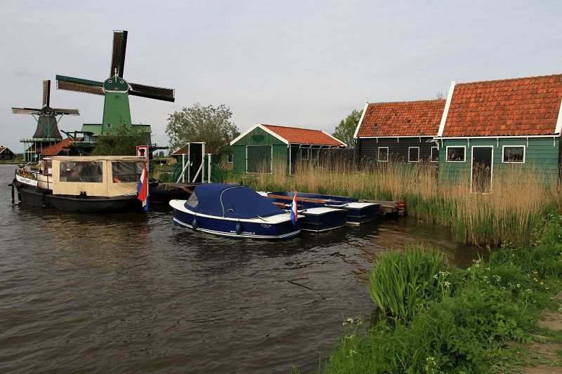 neo_img_img_9273.jpg
