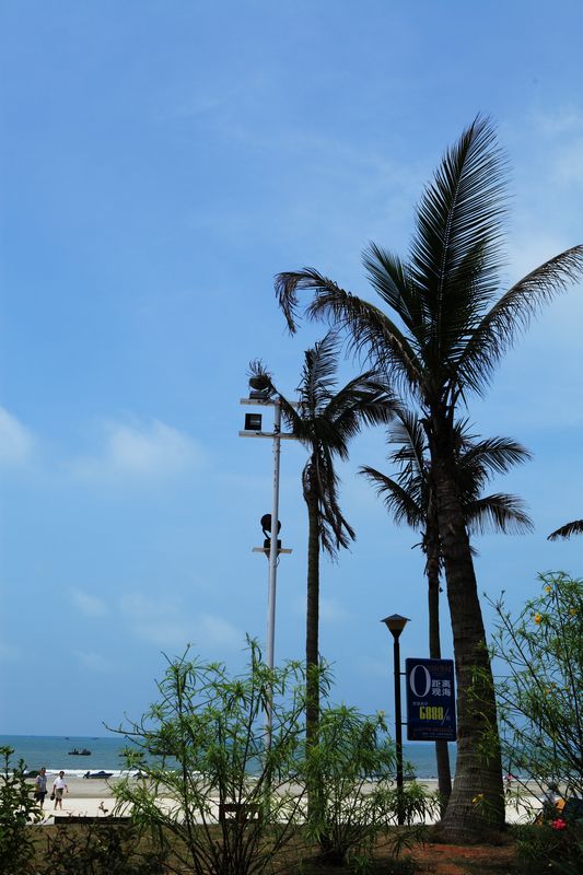 _mg_6562.jpg