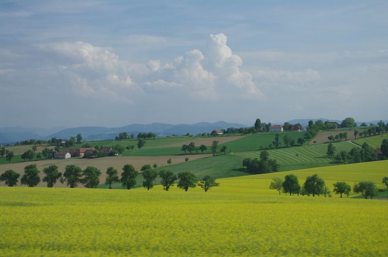 С pent8085.jpg