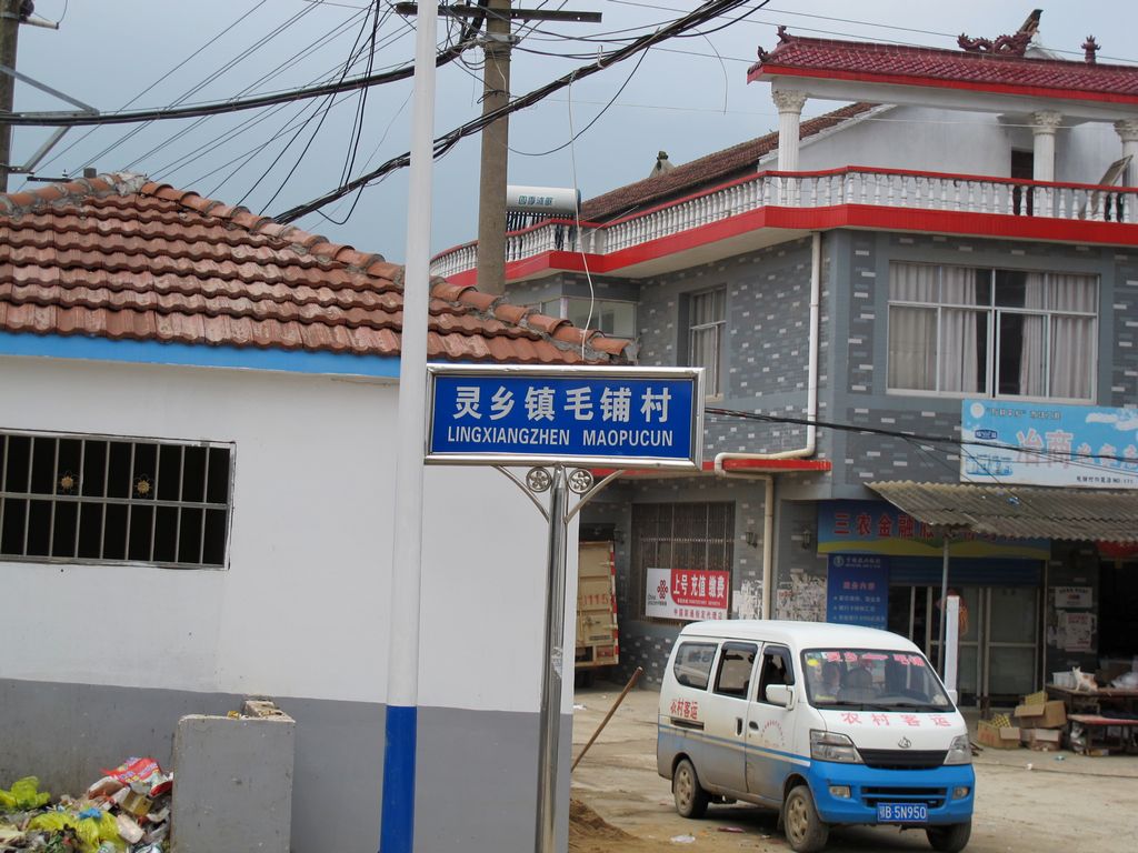 5y 009.jpg
