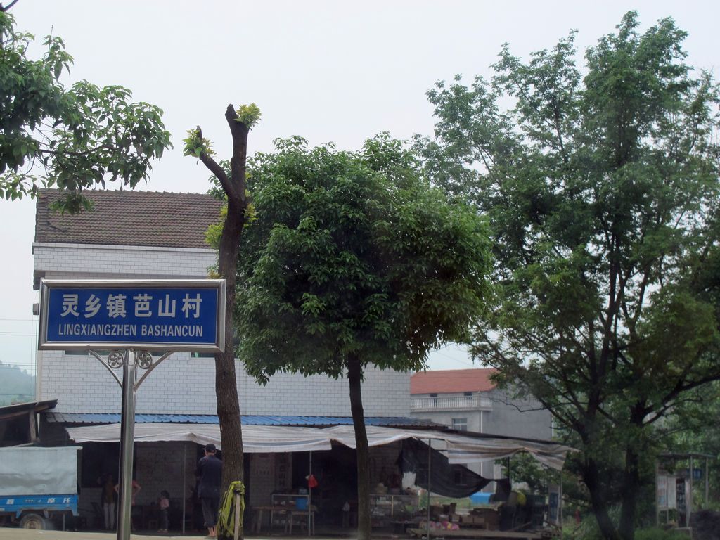 5y 006.jpg
