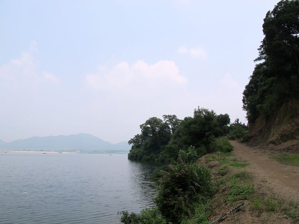 5y 048.jpg