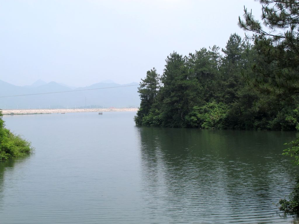 5y 054.jpg