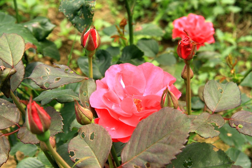 img_6213.jpg