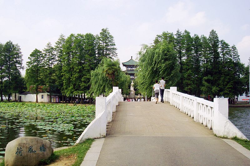 dsc00462.jpg