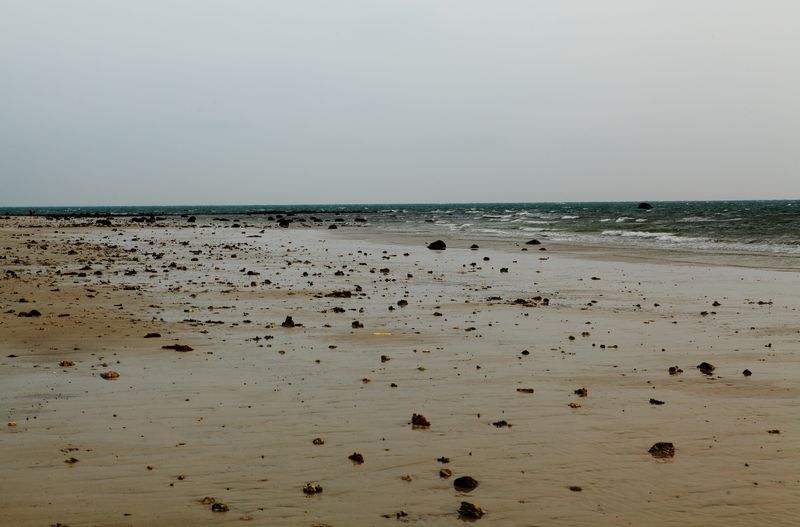 _mg_6746.jpg