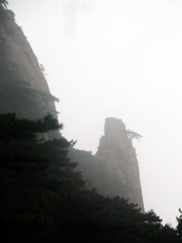 dscf0241.jpg
