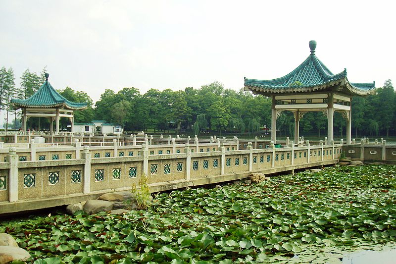 dsc00535.jpg